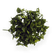 Modificadores Cilantro